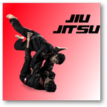 Jiu Jitsu