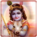 Krishna Bhajans APK