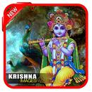 APK Krishna Image