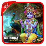 Krishna Image icône