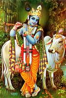 برنامه‌نما Krishna Image عکس از صفحه