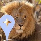 Kruger Park Local Guides icône