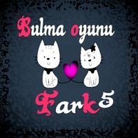 5 Fark Bulma Oyunu captura de pantalla 2