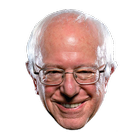 Bern 1 For Bernie icon
