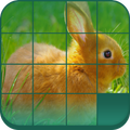 Photo Puzzle