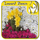 Home Flower Arrangement Design icon