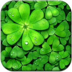 Lucky Charms Live Wallpaper Apk 10 0 For Android Download Lucky Charms Live Wallpaper Apk Latest Version From Apkfab Com