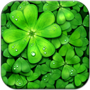 Lucky Charms Live Wallpaper APK