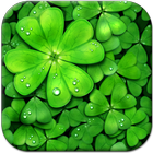 Lucky Charms Live Wallpaper 아이콘