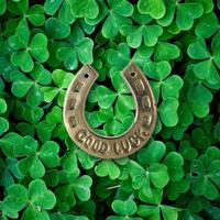 Lucky Charms Live Wallpaper 스크린샷 1