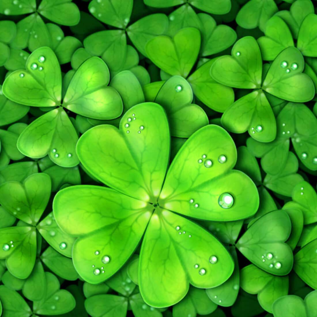 Lucky Charms Live Wallpaper for Android - APK Download