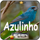 Canto de Azulinho biểu tượng