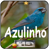 Canto de Azulinho biểu tượng