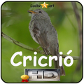 Canto de Cricrio