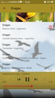 Canto de Dragao screenshot 2