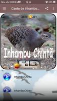 Canto de Inhambu Chinta capture d'écran 1