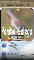 Canto de Pomba Galega capture d'écran 1