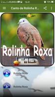 Canto de Rolinha Roxa 스크린샷 1