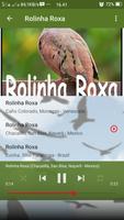 Canto de Rolinha Roxa 스크린샷 3