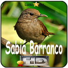 Canto de Sabia Barranco 아이콘