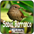 ikon Canto de Sabia Barranco