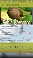 Canto de Sabia Barranco 스크린샷 3