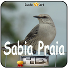 Canto de Sabia Praia icon