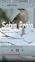 Canto de Sabia Praia скриншот 3