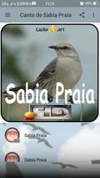 Canto de Sabia Praia اسکرین شاٹ 1