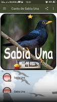 Canto de Sabia Una Ekran Görüntüsü 1