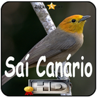 Canto do Sai Canario icône