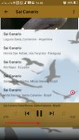 Canto do Sai Canario اسکرین شاٹ 3