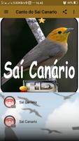 Canto do Sai Canario اسکرین شاٹ 1