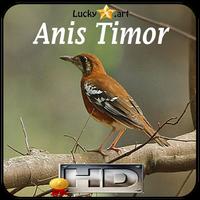 Anis Timor Top ポスター