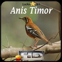 2 Schermata Anis Timor Top