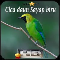 Cica daun Sayap biru Top پوسٹر