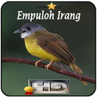 Empuloh Irang Top アイコン