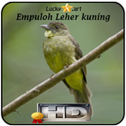 Empuloh Leher kuning Top آئیکن