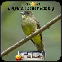 Poster Empuloh Leher kuning Top