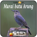 Murai batu Arung Top APK