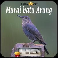 Murai batu Arung Top ภาพหน้าจอ 1