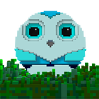 Tap Little Owls icon