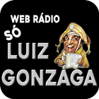 Rádio Só Luiz Gonzaga আইকন