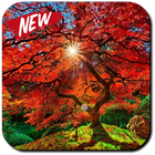 Fall Wallpaper biểu tượng