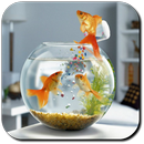 Fish Wallpapers APK