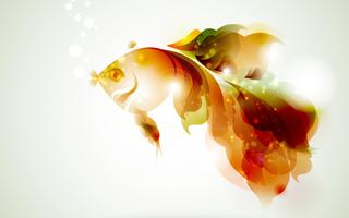 Fish Wallpapers capture d'écran 1
