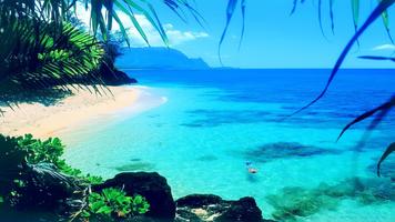 Summer Wallpaper 截圖 3