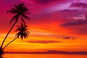 Sunset Wallpaper 截圖 3