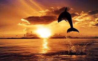 Sunset Wallpaper 海報