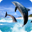 Icona Dolphins Live Wallpaper